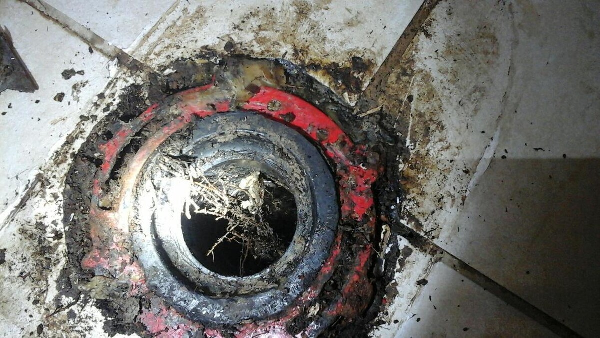 Images Dial One Johnson, Plumbing, Heating and AC Repair