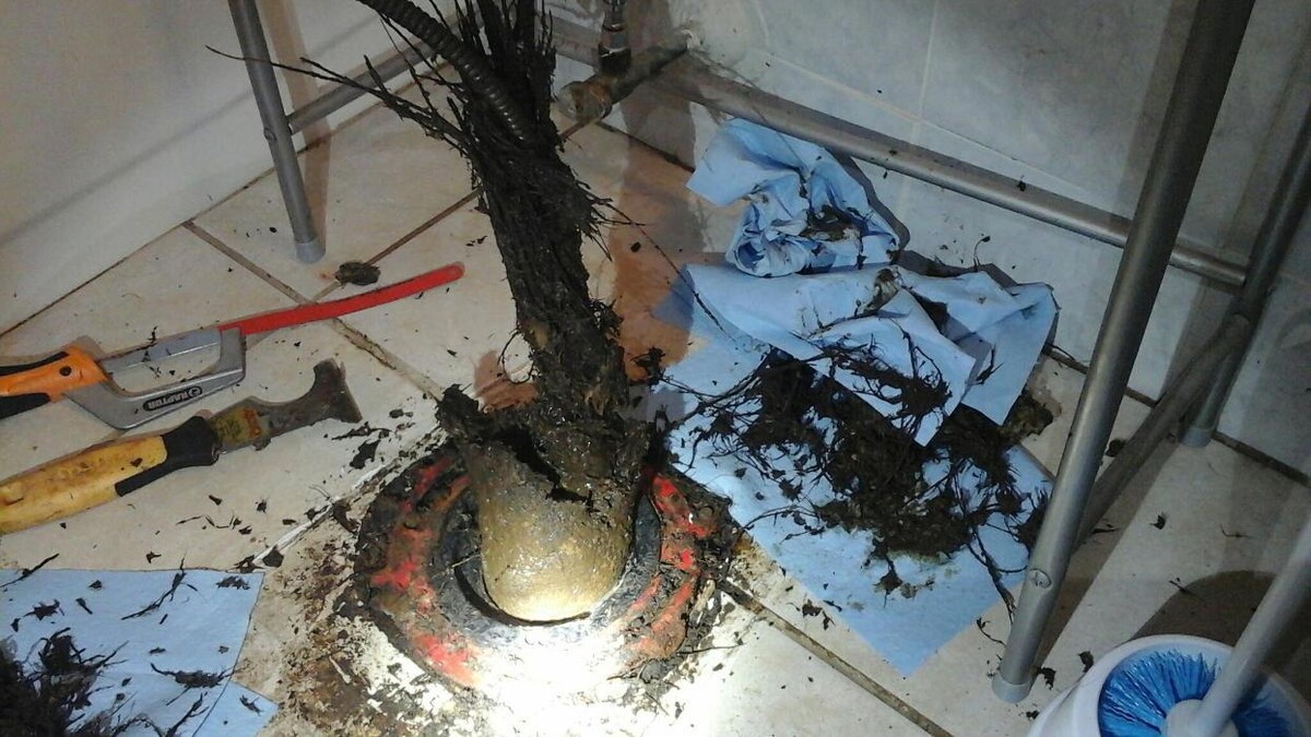 Images Dial One Johnson, Plumbing, Heating and AC Repair
