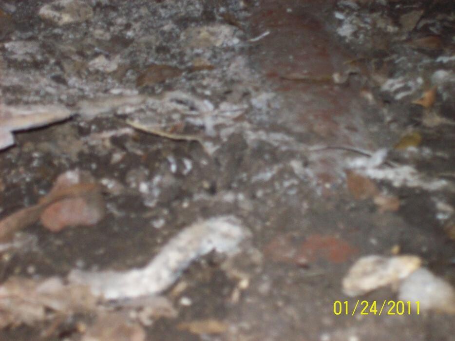 Images Dial One Johnson, Plumbing, Heating and AC Repair