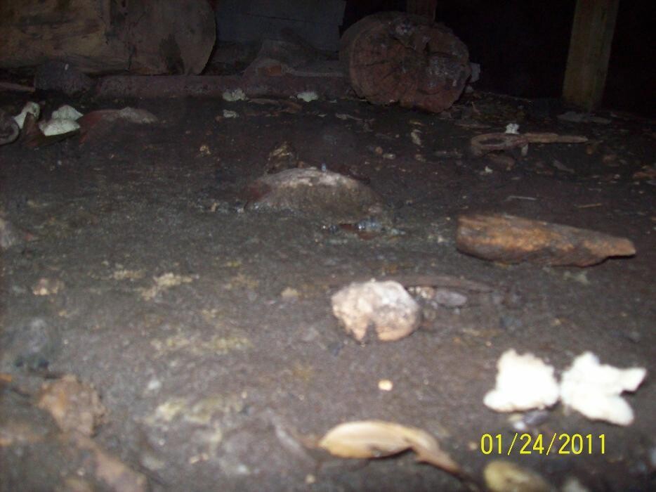 Images Dial One Johnson, Plumbing, Heating and AC Repair