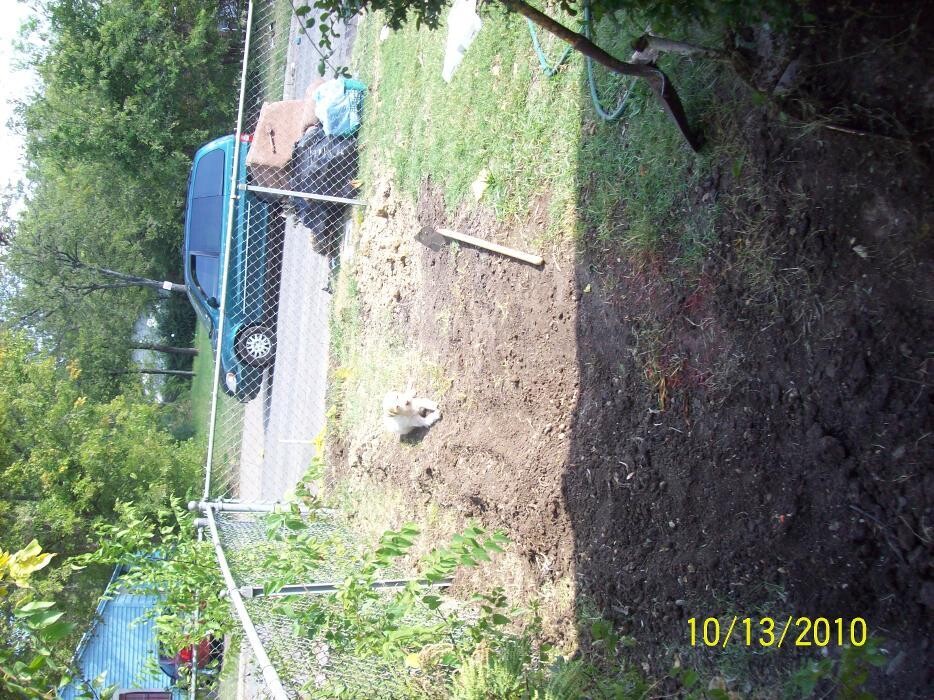 Images Dial One Johnson, Plumbing, Heating and AC Repair