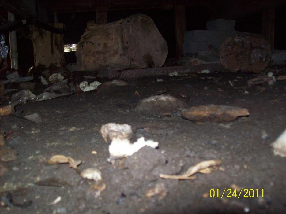 Images Dial One Johnson, Plumbing, Heating and AC Repair