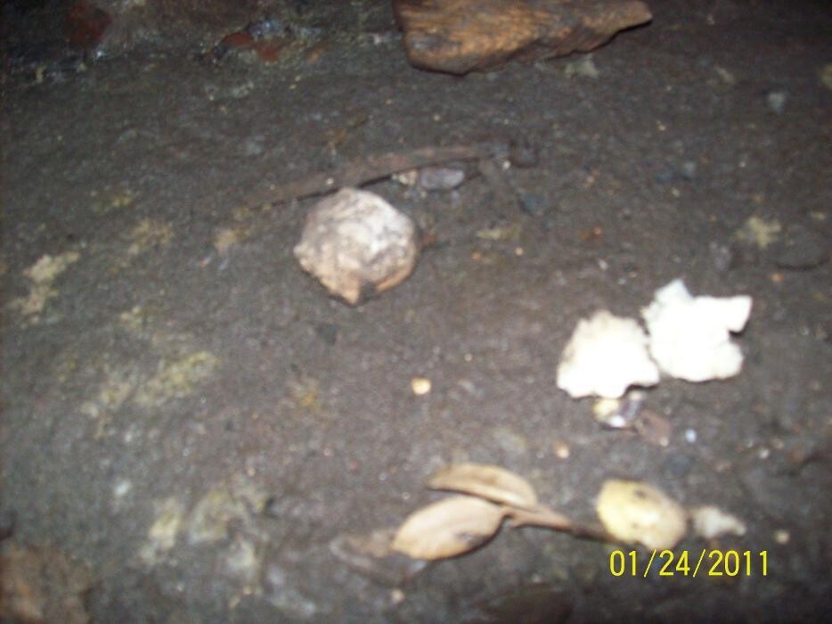 Images Dial One Johnson, Plumbing, Heating and AC Repair