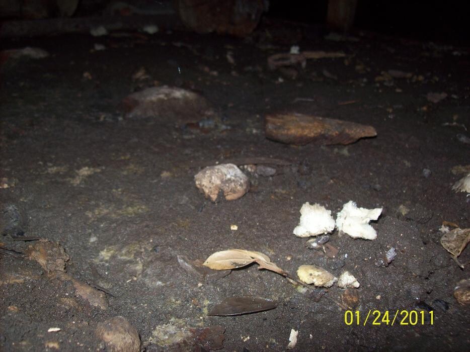 Images Dial One Johnson, Plumbing, Heating and AC Repair