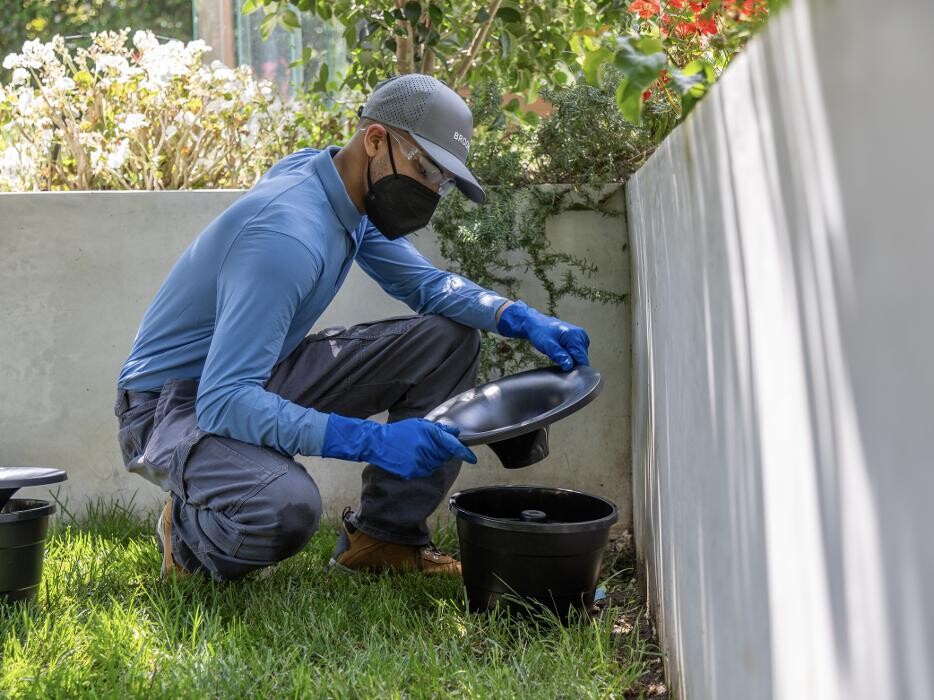 Images Brooks Pest Solutions