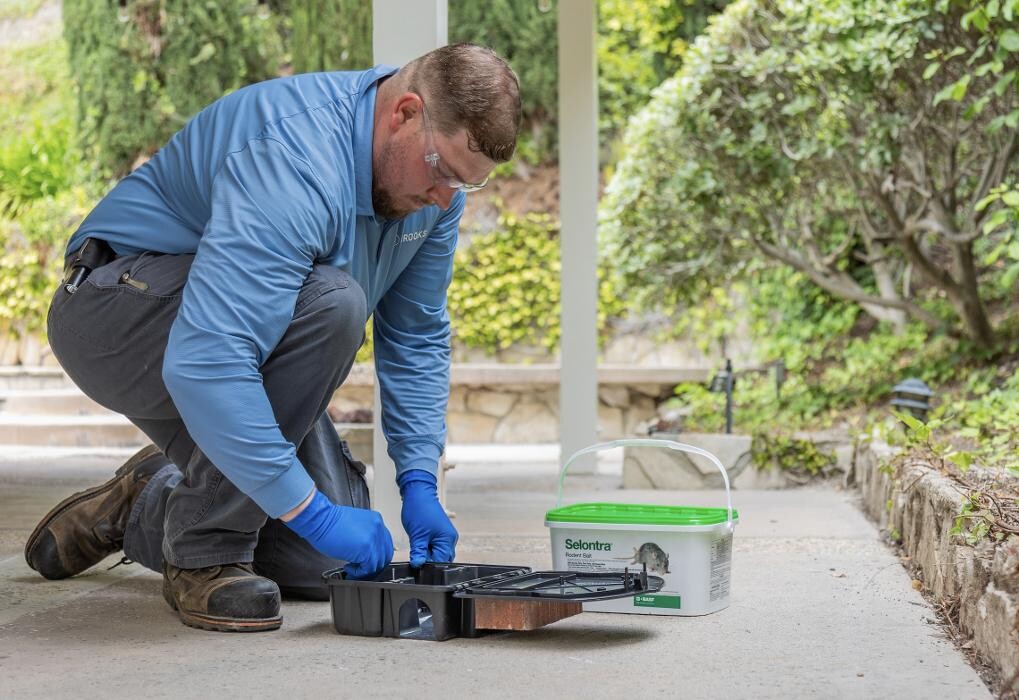 Images Brooks Pest Solutions