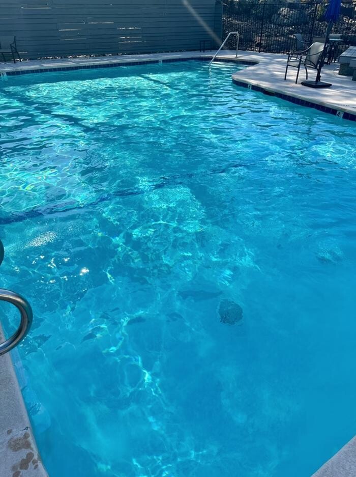 Images Manta Ray Pool Service