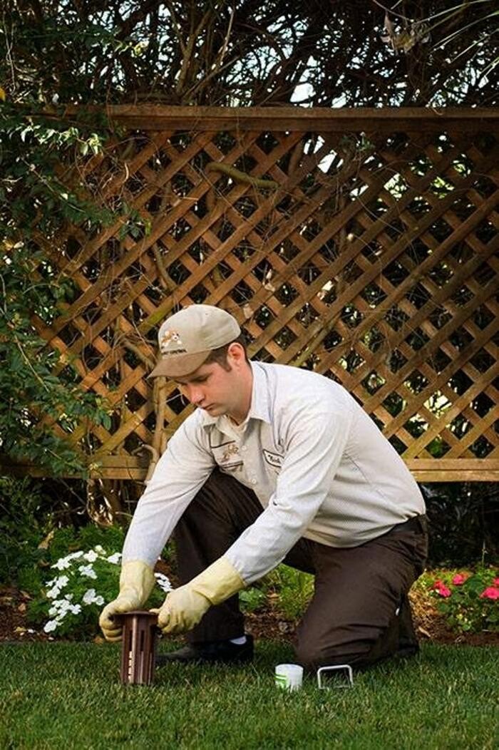 Images Lloyd Pest & Termite Control