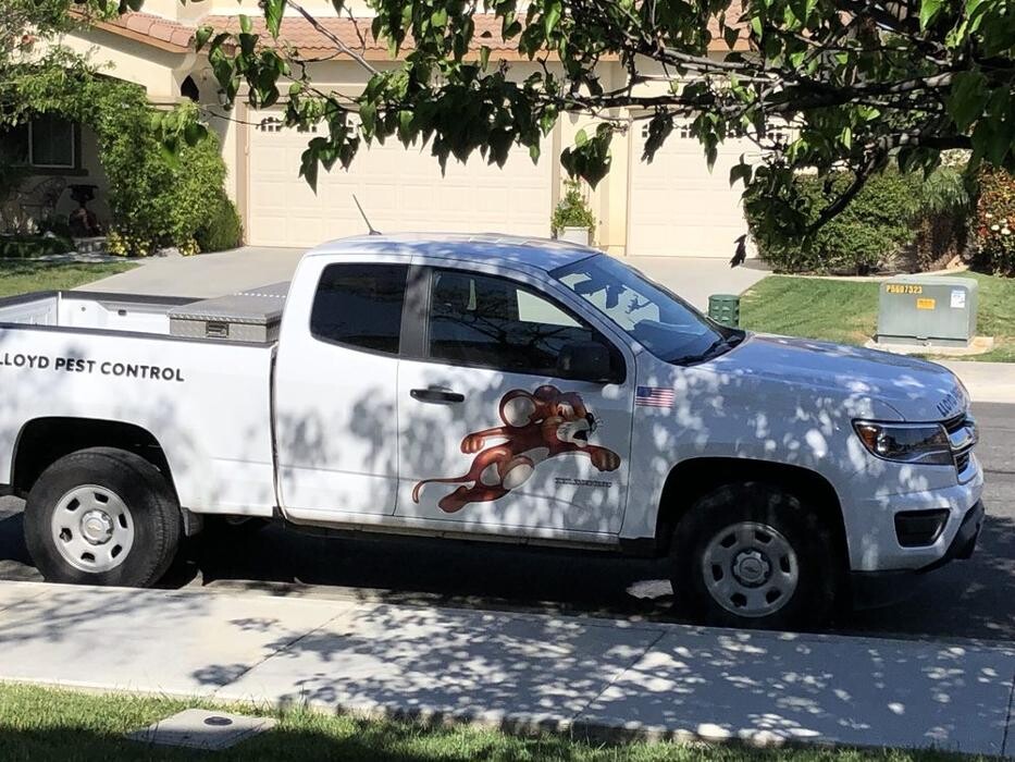 Images Lloyd Pest & Termite Control