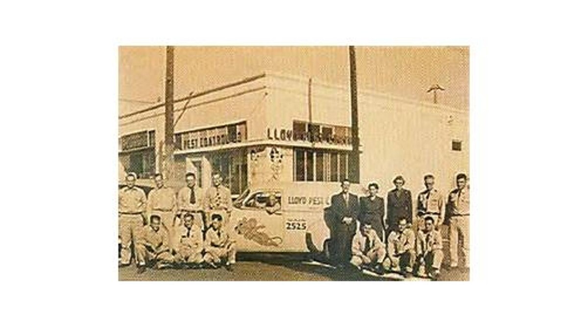 Images Lloyd Pest & Termite Control