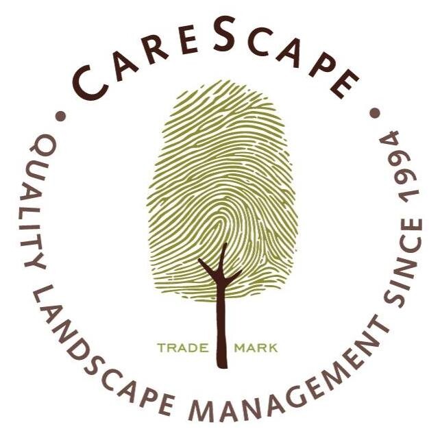 CareScape Logo