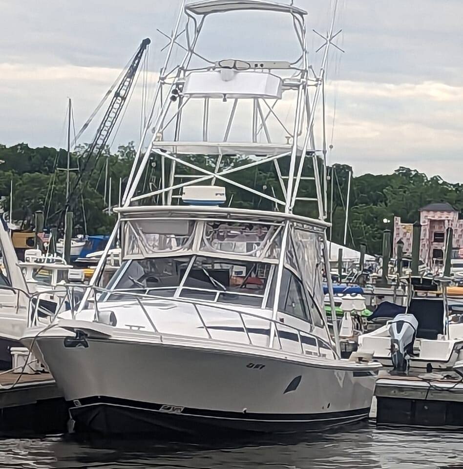 Lady L Charters Logo