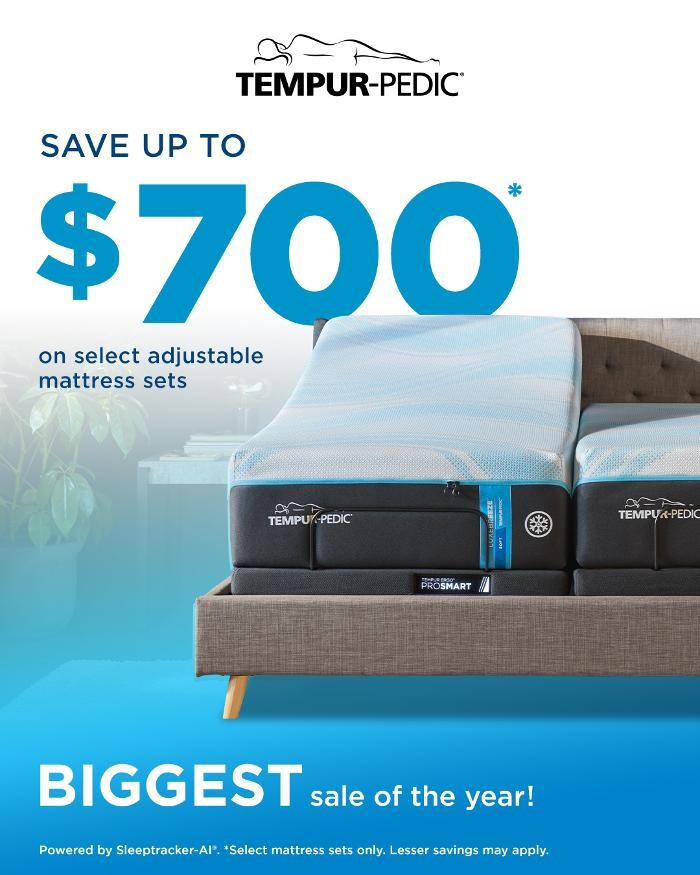 Images Mattress Dogzzz