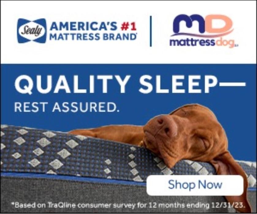 Images Mattress Dogzzz