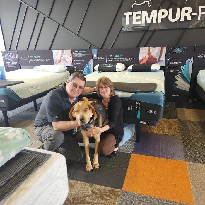 Images Mattress Dogzzz