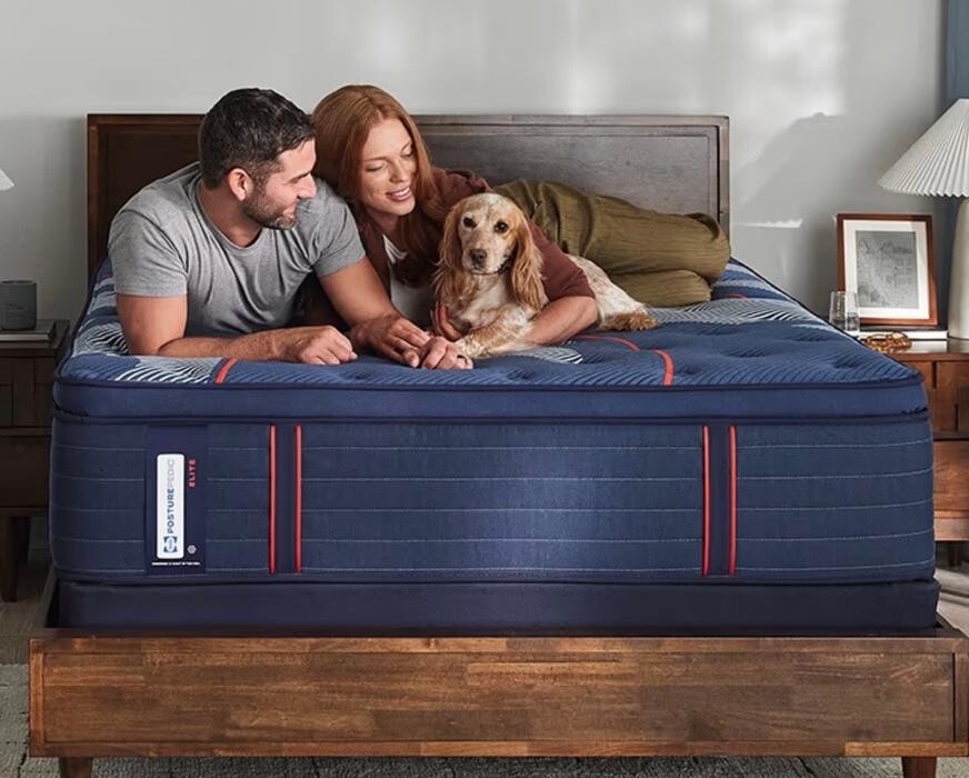 Images Mattress Dogzzz