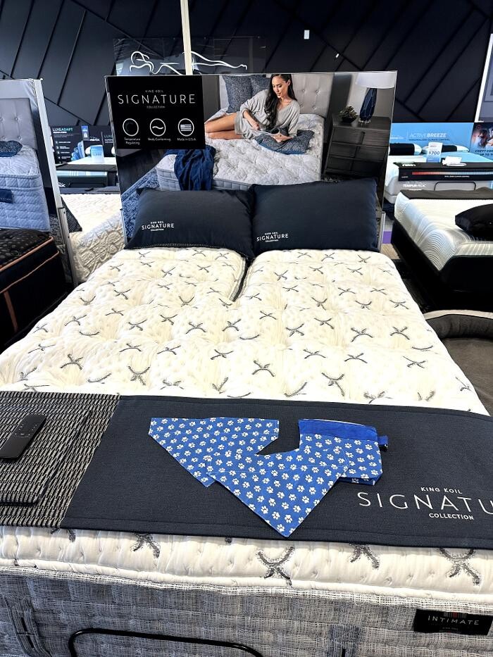 Images Mattress Dogzzz