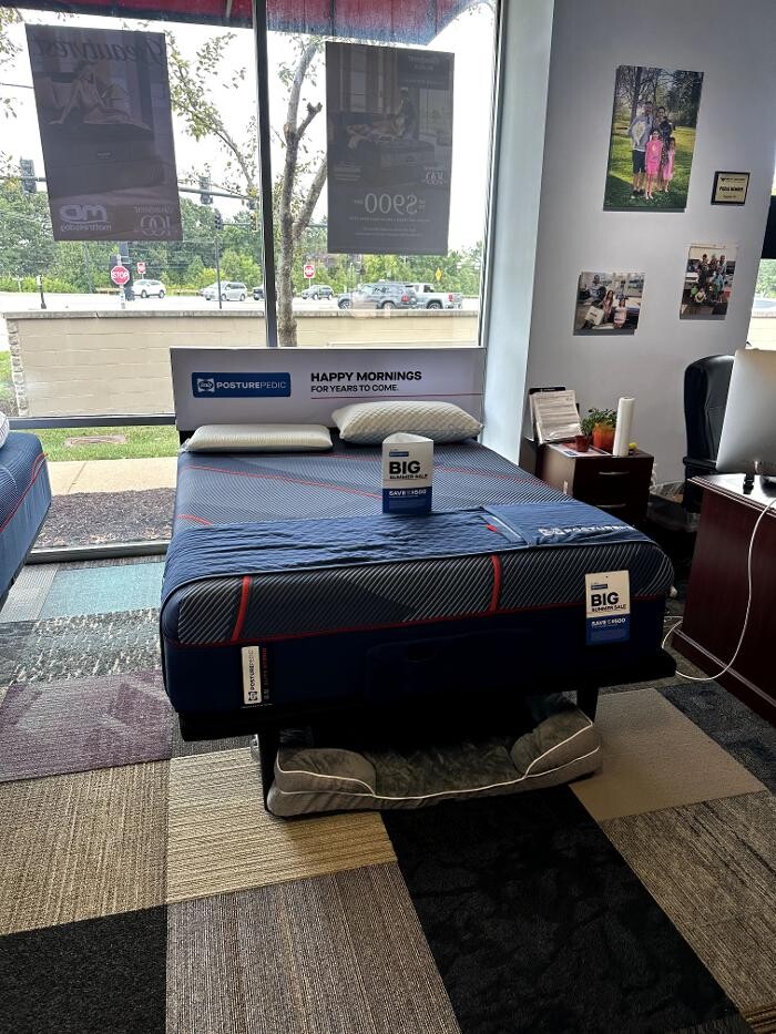 Images Mattress Dogzzz