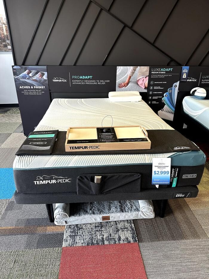 Images Mattress Dogzzz