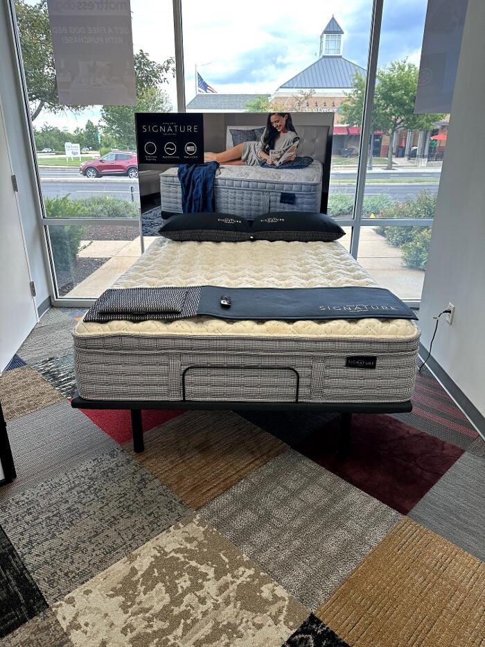 Images Mattress Dogzzz