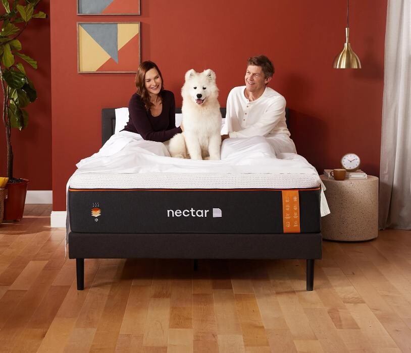 Images Mattress Dogzzz