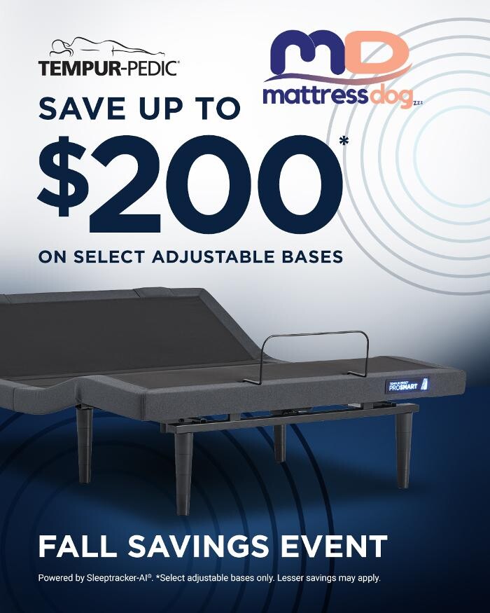 Images Mattress Dogzzz