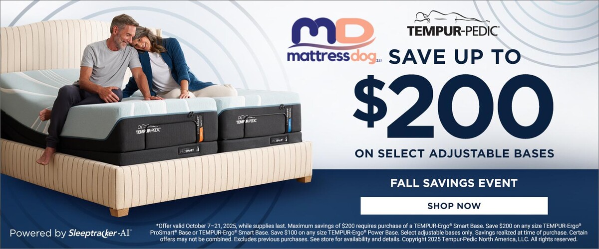 Images Mattress Dogzzz