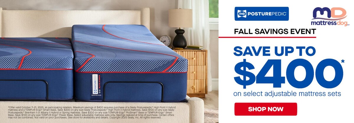 Images Mattress Dogzzz