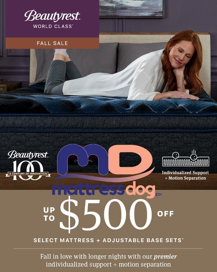 Images Mattress Dogzzz