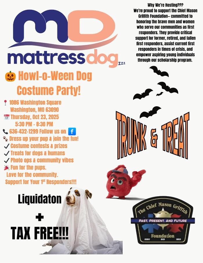 Images Mattress Dogzzz