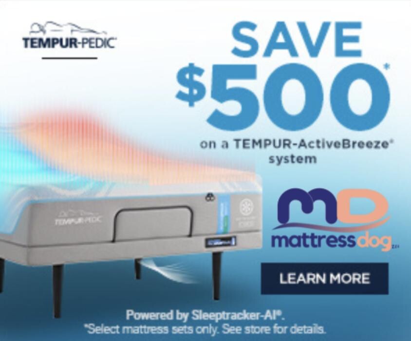 Images Mattress Dogzzz