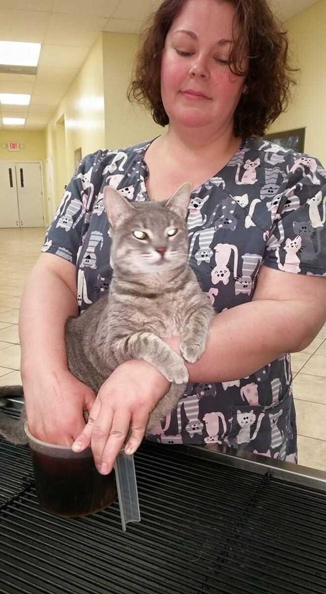 Images Mount Carmel Pet Hospital