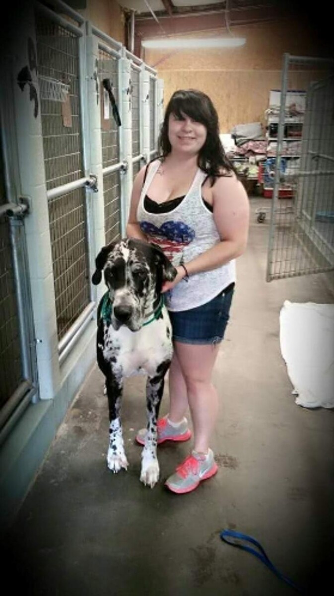 Images Mount Carmel Pet Hospital