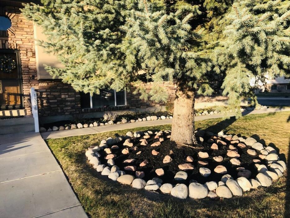 Images Turffesional Lawn Care & Landscaping