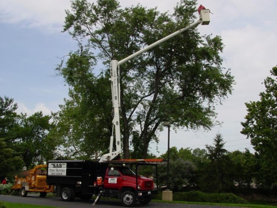 Images SAB Lawn & Landscaping Inc