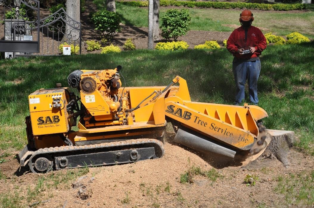 Images SAB Lawn & Landscaping Inc