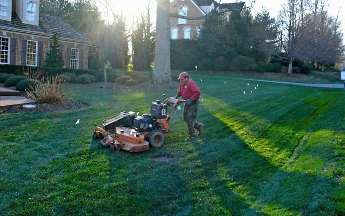Images SAB Lawn & Landscaping Inc