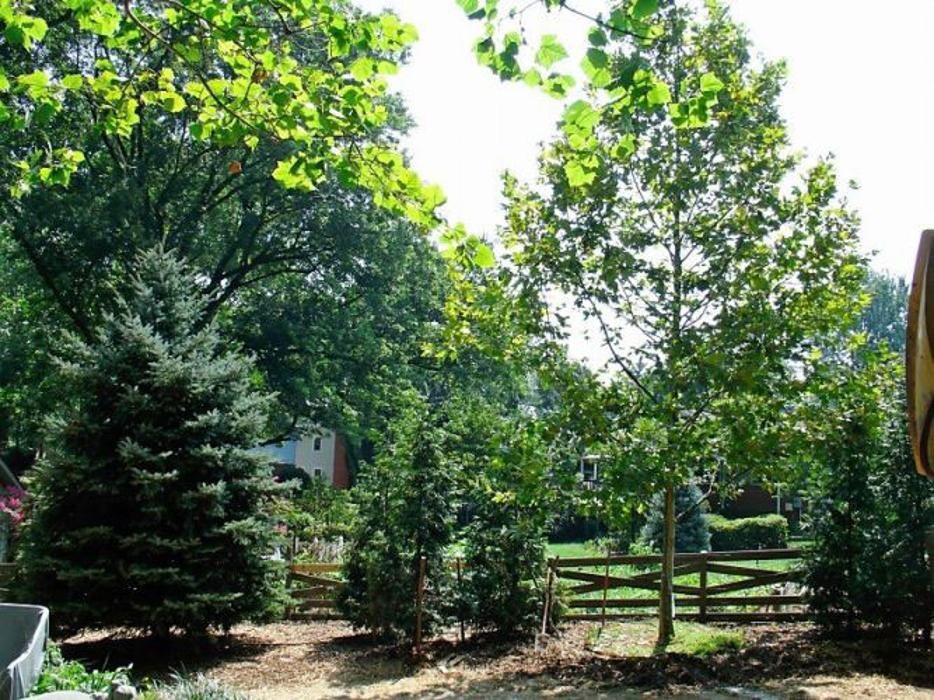 Images SAB Lawn & Landscaping Inc