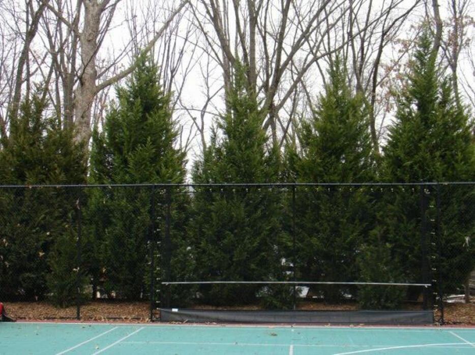 Images SAB Lawn & Landscaping Inc