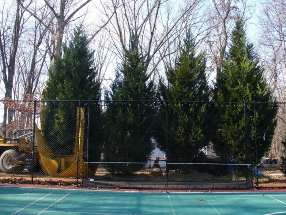 Images SAB Lawn & Landscaping Inc