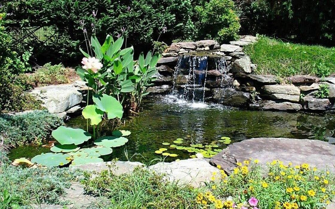 Images SAB Lawn & Landscaping Inc