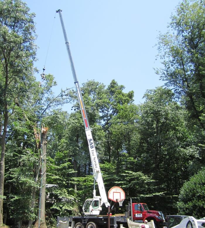 Images SAB Lawn & Landscaping Inc