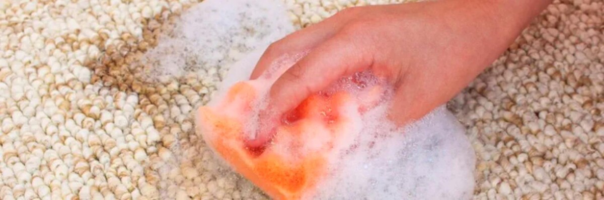 Images McCarty's Magic Carpet Cleaning