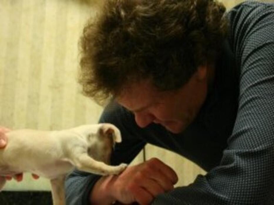Images Best Friends Animal Hospital Of East Medford
