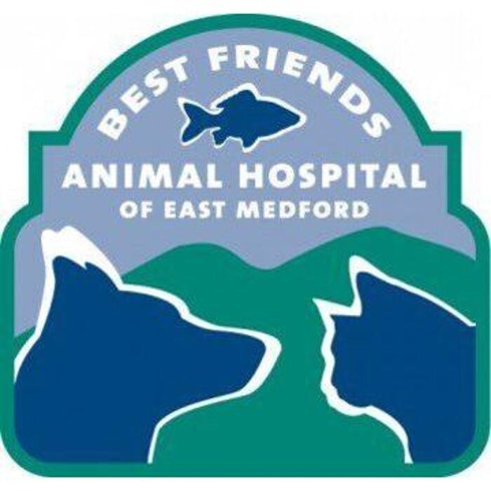 Images Best Friends Animal Hospital Of East Medford
