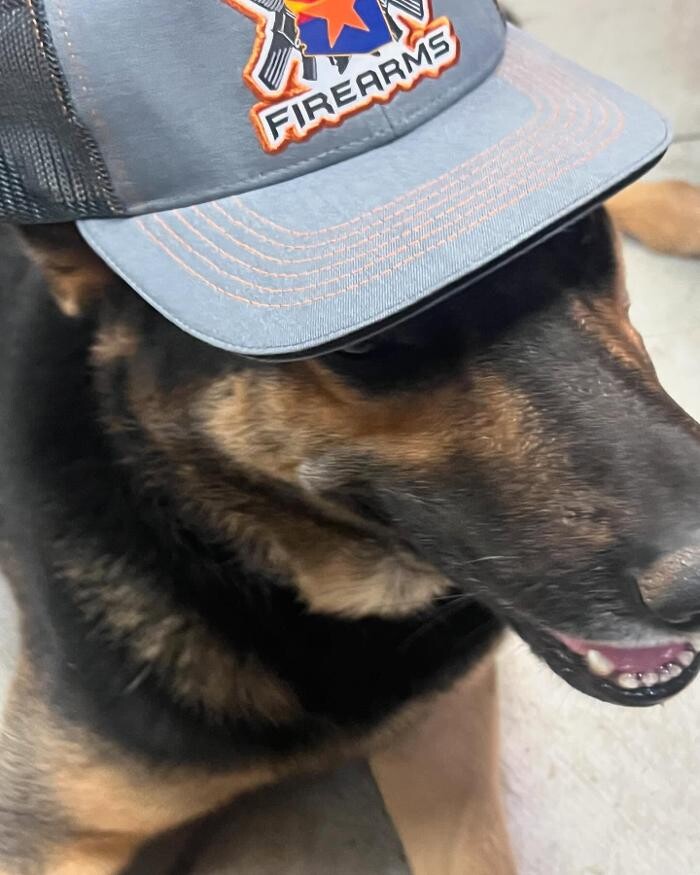 Images Arizona Firearms