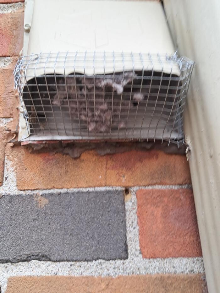 Images Dryer Vent Superheroes of Louisville