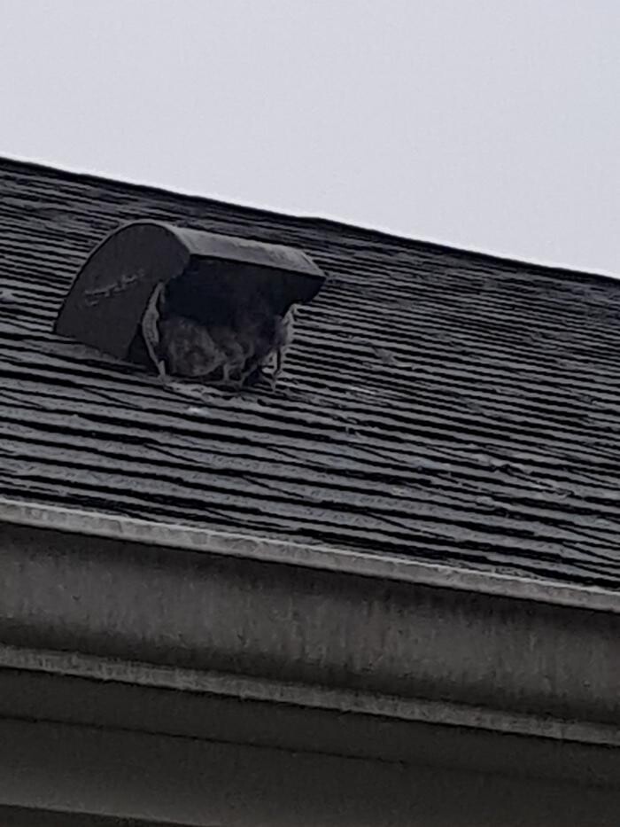 Images Dryer Vent Superheroes of Louisville
