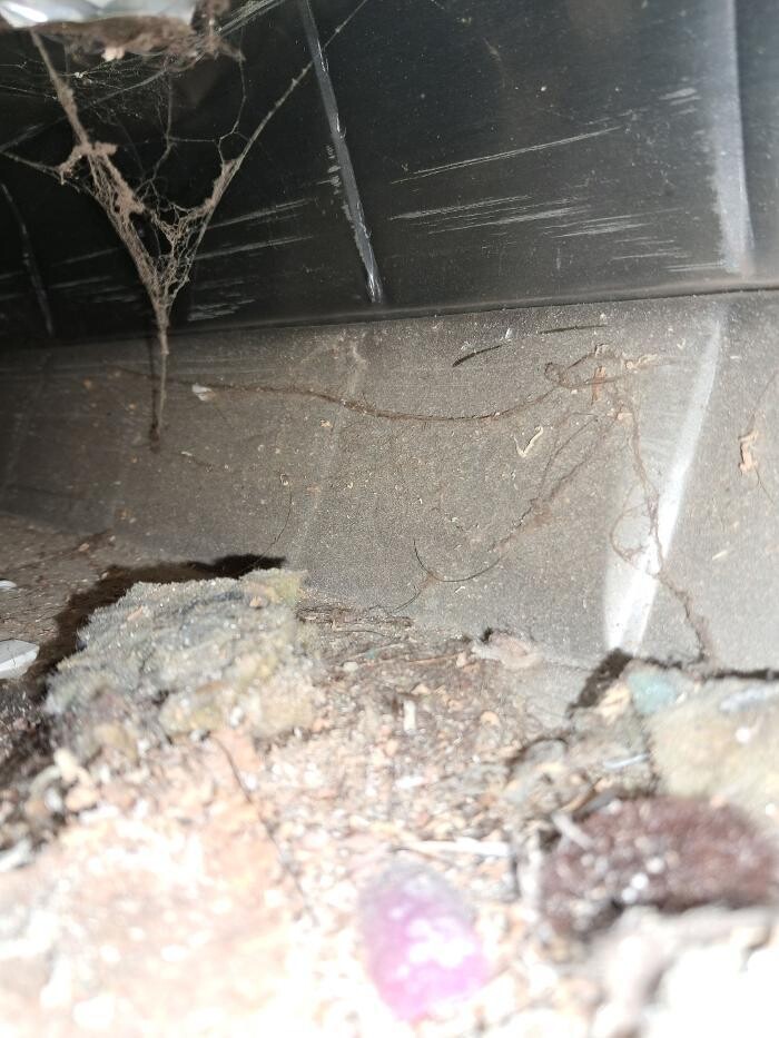 Images Dryer Vent Superheroes of Louisville