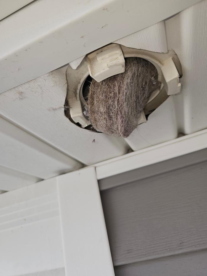 Images Dryer Vent Superheroes of Louisville